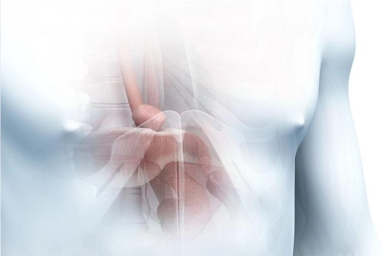 1734369242.043483_467838_image